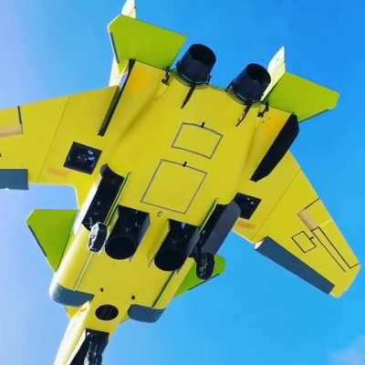 Therapist VTOL Berkut isnt real, it can't hurt you. VTOL Berkut: