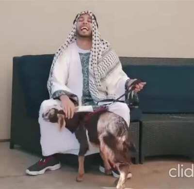 Calm down, white guilt...