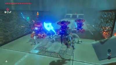 Hyrule's Chosen Knight of Situational Awareness!