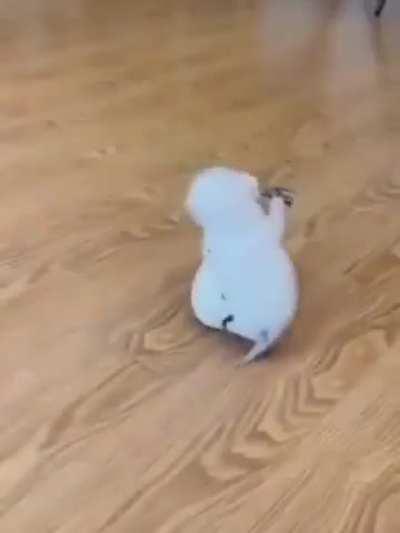 Illegally Small catposting 😺