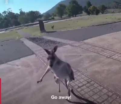 Just when you thought you had a safe landing