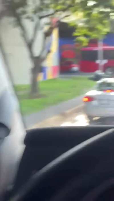 Traffic sucks, and so does she