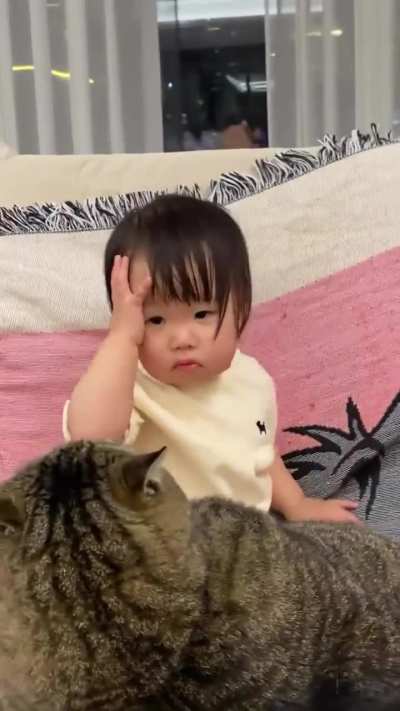 When the cat has to do the parenting