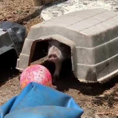 Going into your hut to rest?