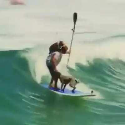 When trust meets trust