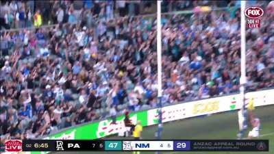 Powell Pepper with LOL of the week contender