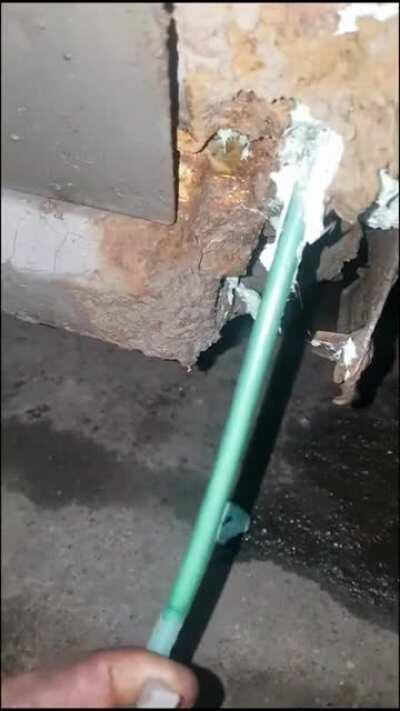 Nu bate, nu troncane