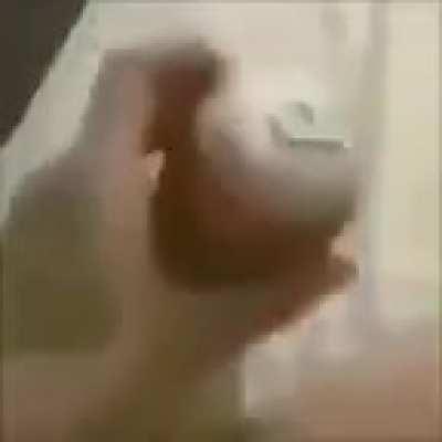 C O C A C O L A E S P U M A