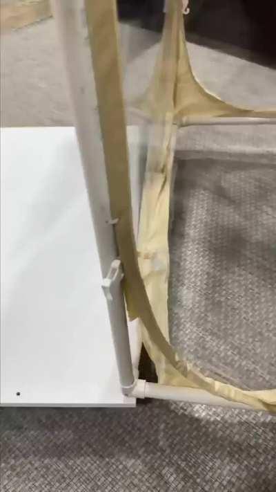 Safely Catch Bugs with the Cup-a-bug!