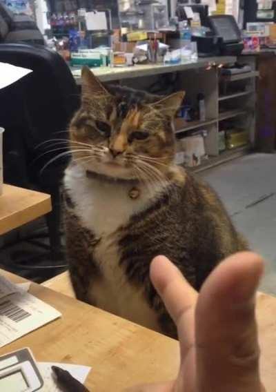 HMC while i give a fuck to this guy