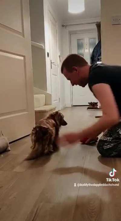 Formula 1 - Pup Stop