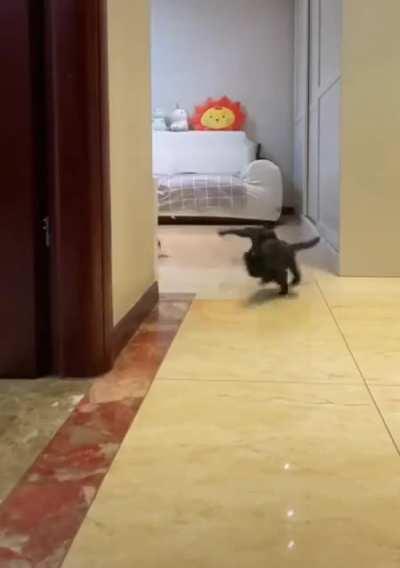 <Insert cartoon noises here.>