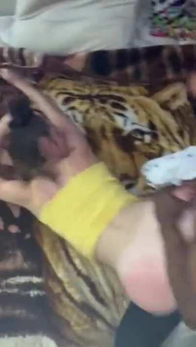 College slut, bbc slut