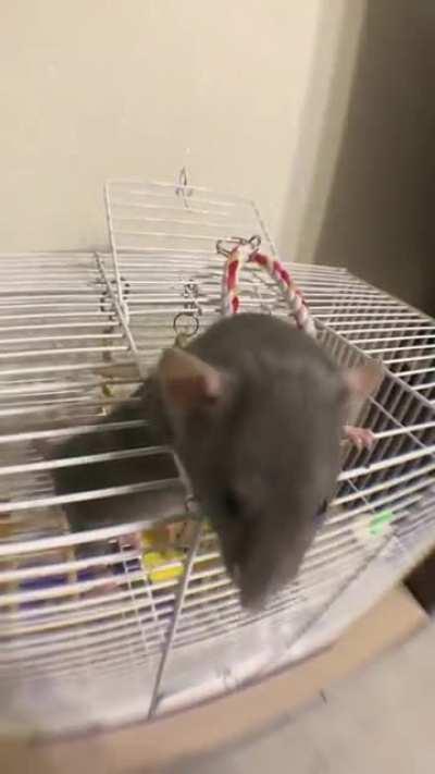 Guy, you smell good!