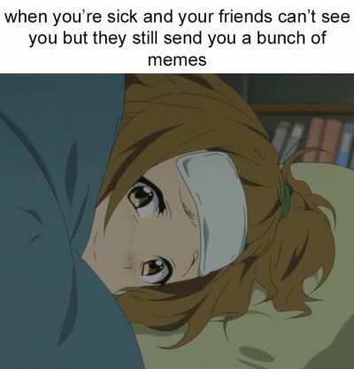 I have a fever, and the only cure is more memes!