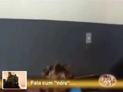 Quando os viewers do muca perguntam quanto ele ganha no mês 😁😁😁😁