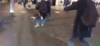 MET Police set their dogs on random ppl after Hyde Park 4/20 event