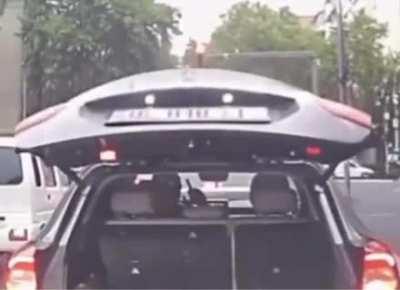 Fuck you because why not