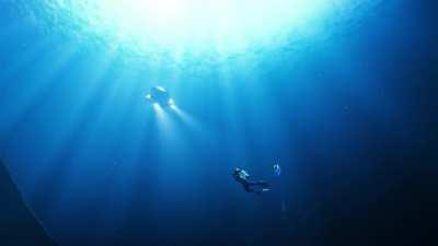 Fear the Reaper - a Subnautica Animation [No Spoilers]