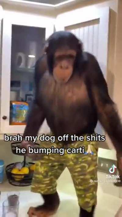 Casual carti enjoyer‼️