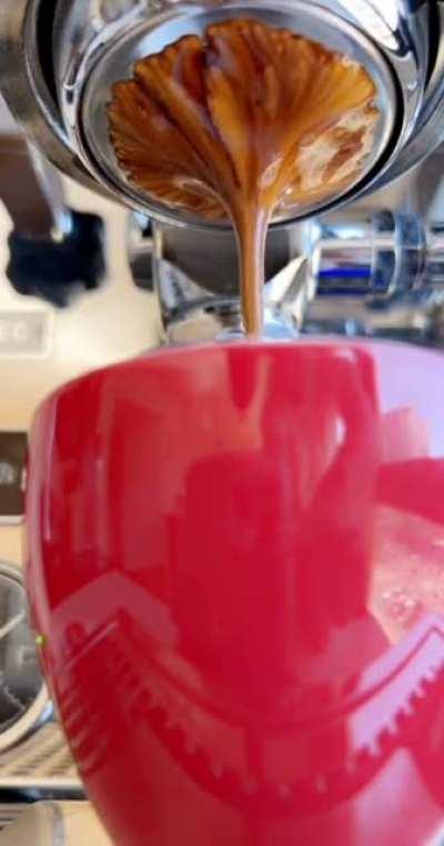 Saturday Mornings Are For Espresso