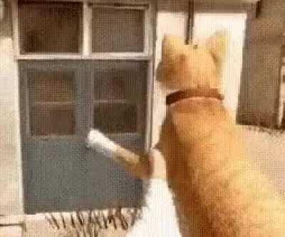 absolutely no one:... valorant skins: