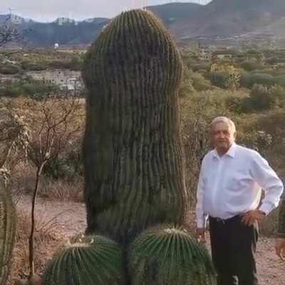 Riqueza natural 😎