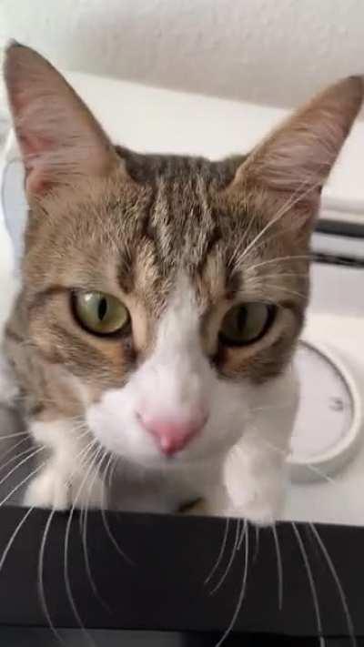 Simon informing me that he has the high ground.