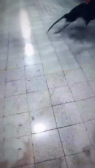 Bet you can’t guess the ending