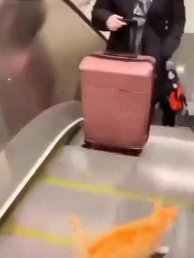 ele REALMENTE ta andando