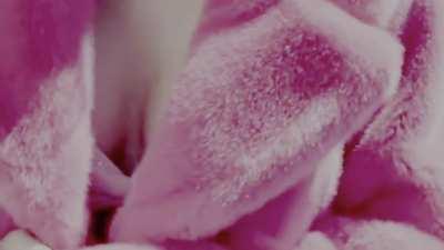 Taylor Swift : Cleavage With Zoom From 