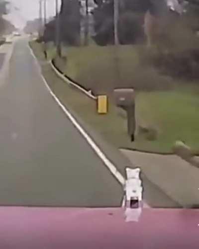 Semi-truck brakes fail behind a school bus