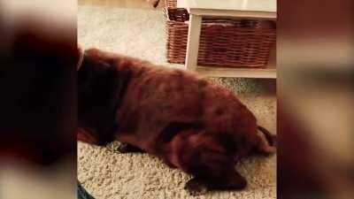 It's All Fun And Game Till It Hits The Nose