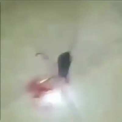 REAL FOOTAGE OF ME BEATING THE RH RATS