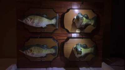 POV you’re a peaceful fish and a 32 million dollar drone falls from the sky to annihilate your existence