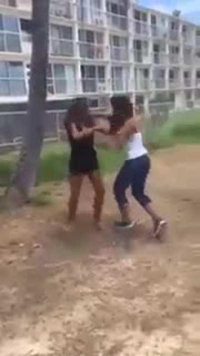 Oceanview fight