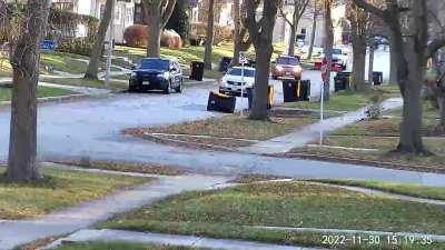 some idiot decided to come flying down our street just as our state trooper neighbor was leaving for work