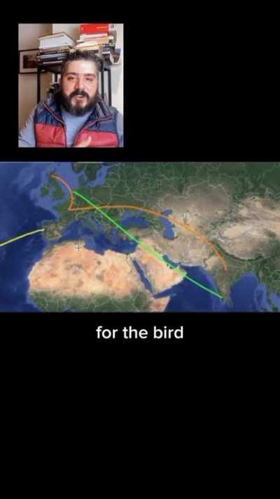 no one wants to claim this bird