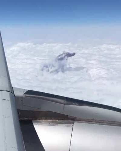 Whale ascends through the clouds