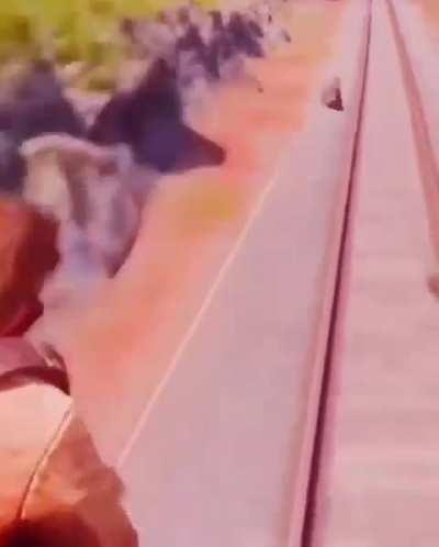 less people are watching my memes now? :( But anyways, Always a chance lol. Let me throw another meme at you.