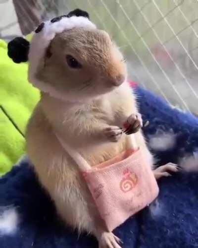 Приятного аппетита