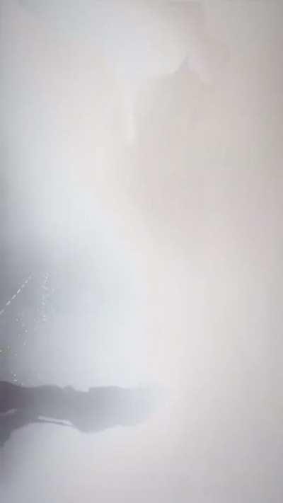 Carti performing the unreleased song at Rolling Loud LA