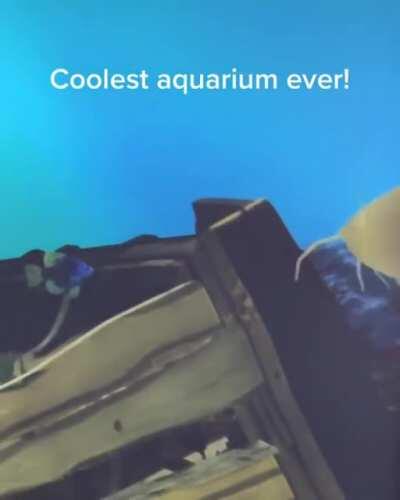 This aquarium allows kids to see the fish they drew inside it.