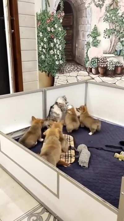 On second thoughts... NOPE