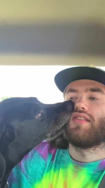 Derpy dog checks his owner for fleas.