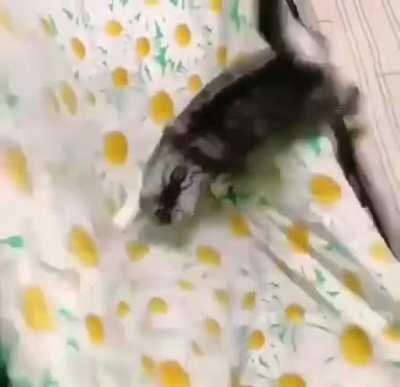 И конкурсы интересные