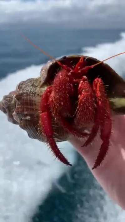 Ух ебанорот мы разобьемся