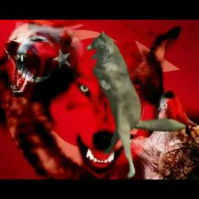 oyundaki adını proturk92 yaparsın