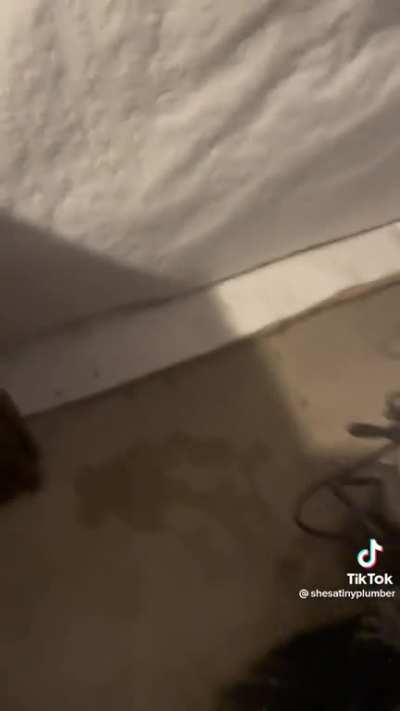 When she hits the right spot