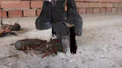 I'd like to see some guy under her boots